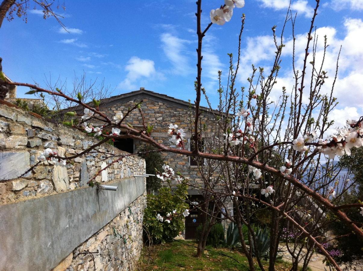 Pyrgos Traditional Village Ágios Kírykos Buitenkant foto