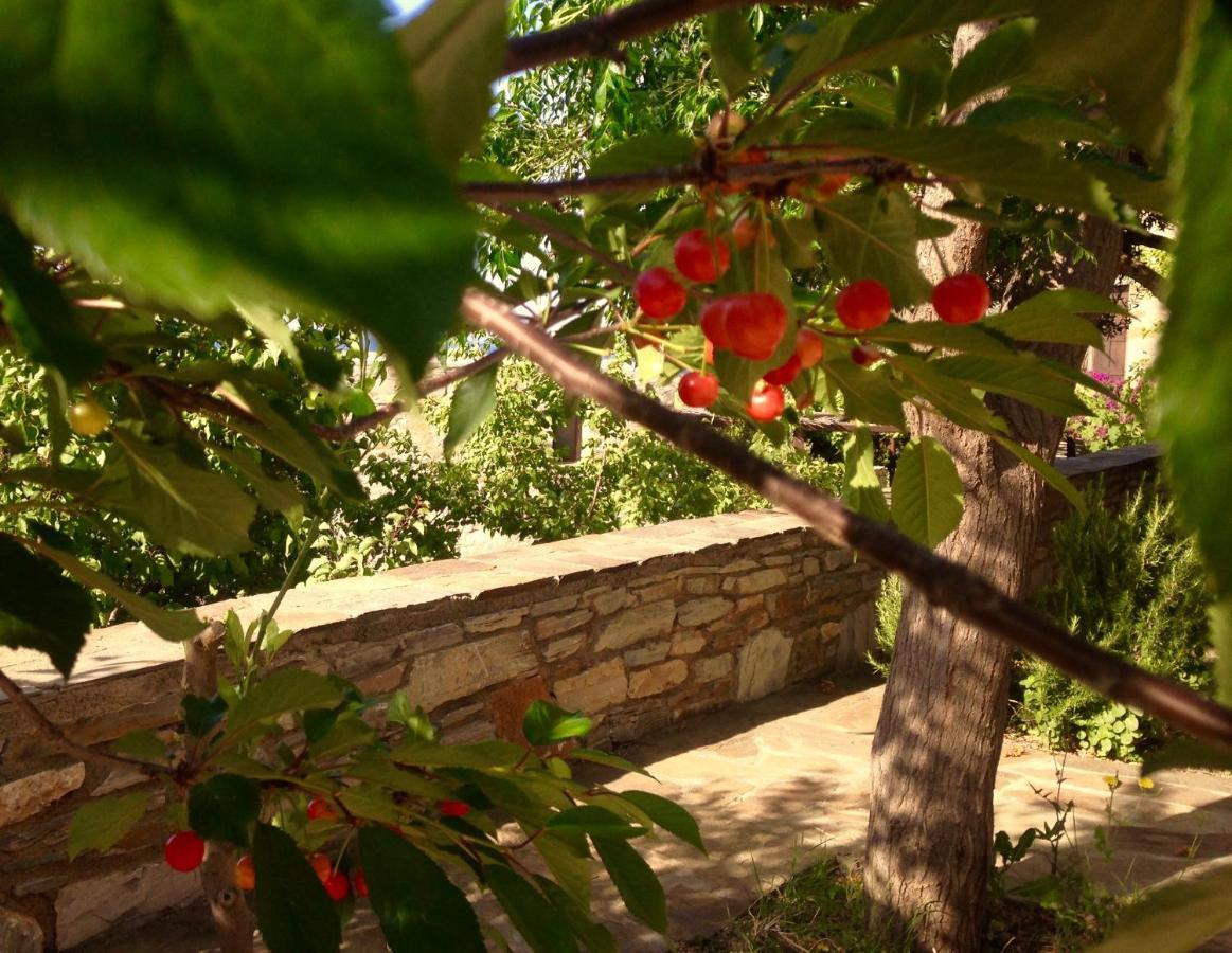 Pyrgos Traditional Village Ágios Kírykos Buitenkant foto